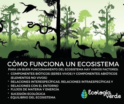 O Que é e Como Funciona a Ecologia?