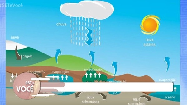 O Que é e Como Funciona a Umidade?