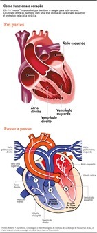 O Que é e Como Funciona o Coração?