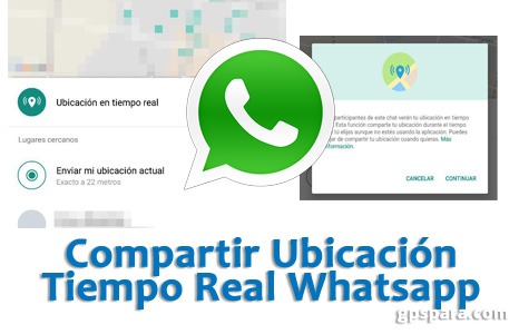 share-whatsapp-location-real-time